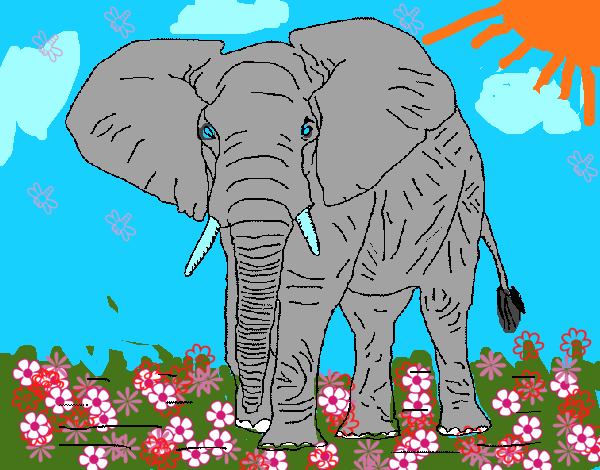 Elefante 1