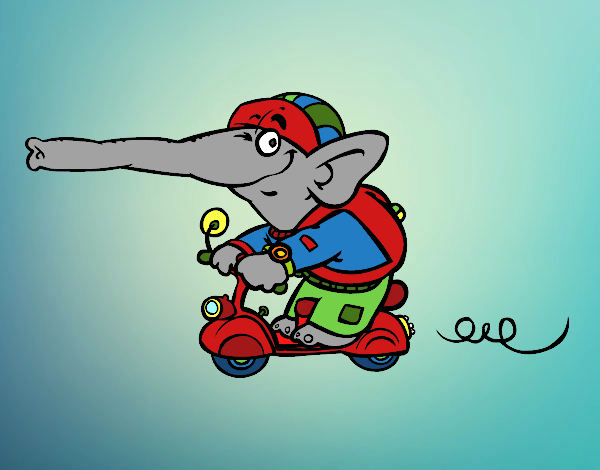 Elefante en moto