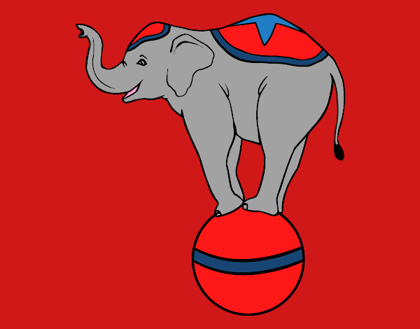 Elefante equilibrista