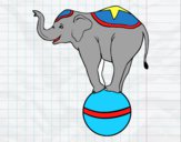 Dibujo Elefante equilibrista pintado por kevin312