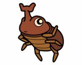 Escarabajo rinoceronte