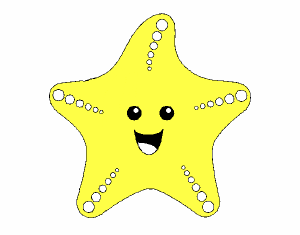 Estrella de mar 1