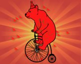 Oso en bicicleta