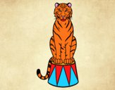 Dibujo Tigre de circo pintado por kevin312