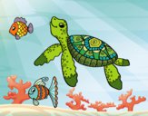 Dibujo Tortuga de mar con peces pintado por queyla
