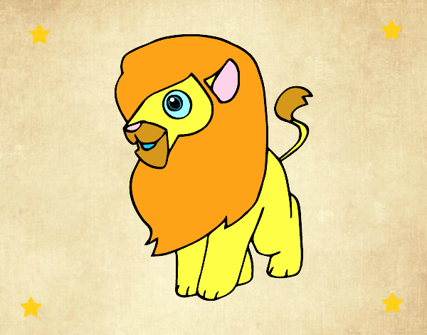 Un león