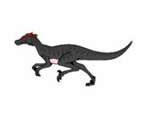 Velociraptor