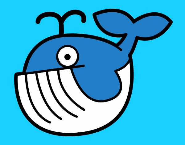 Ballena bebé