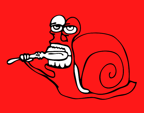 Caracol limpio