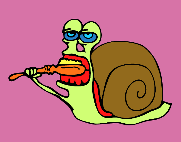 Caracol limpio