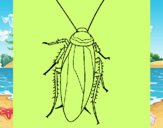 Cucaracha 1