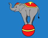 Elefante equilibrista