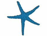 Estrellita de mar