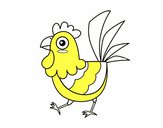 Gallina de granja