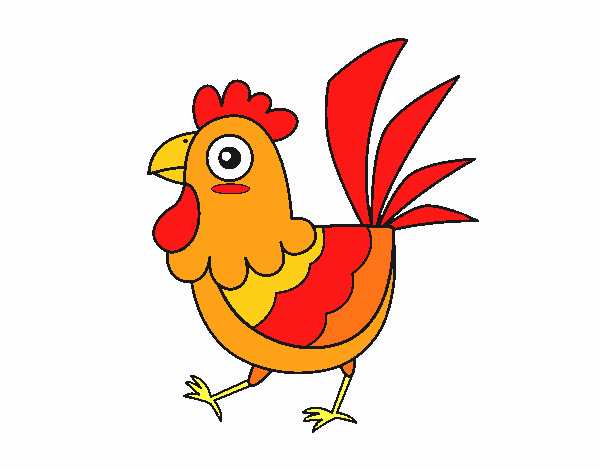 Gallina de granja