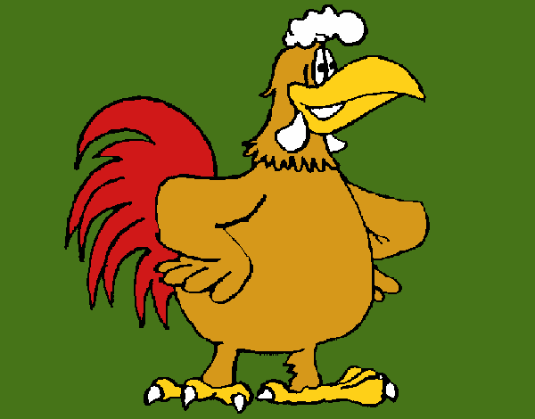 Gallo 1