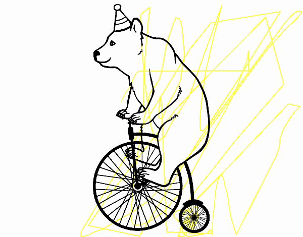 Oso en bicicleta