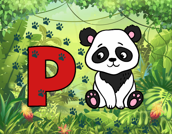 P de Panda