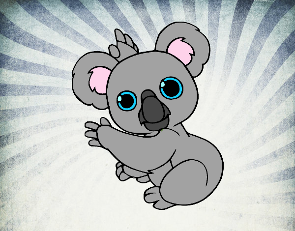 Un Koala