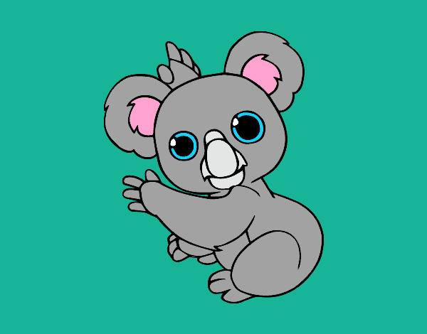 Un Koala