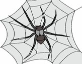 Araña