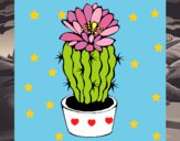 Cactus con flor