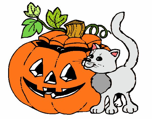 Calabaza y gato