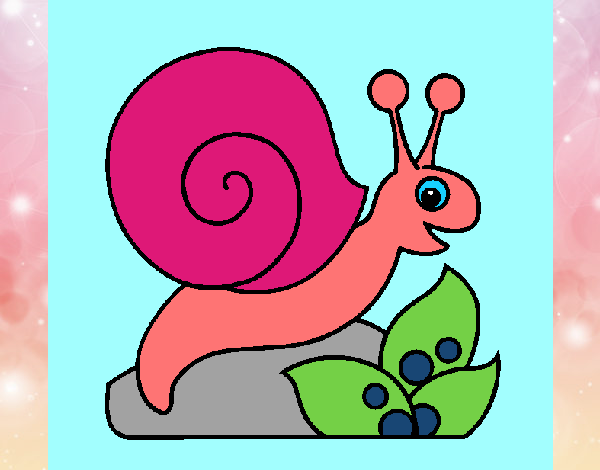 Caracol