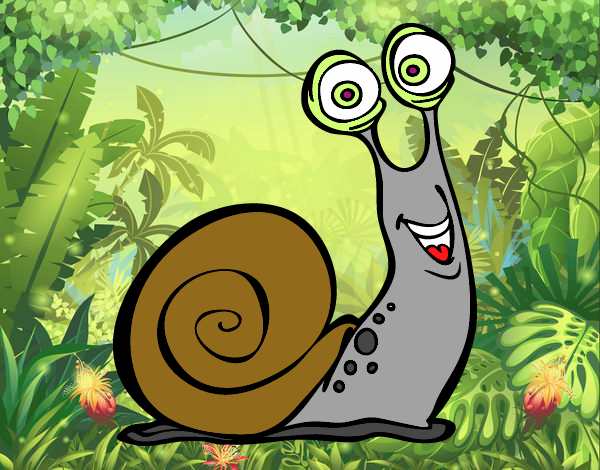 Caracol feliz