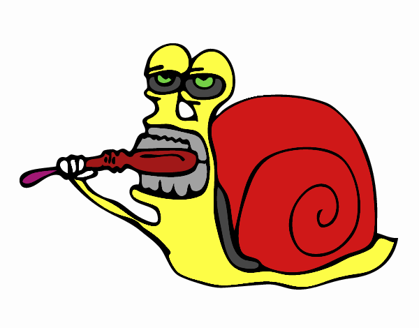 Caracol limpio