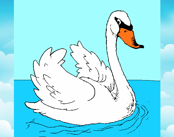 Dibujo Cisne en el agua pintado por helio