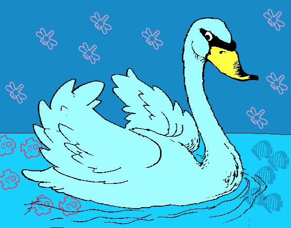 Cisne en el agua