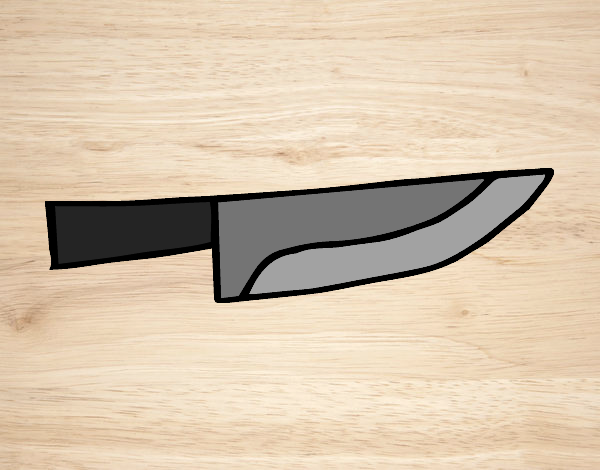 Cuchillo cocinero