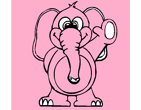 Elefante 2