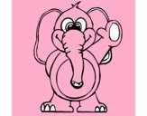 Elefante 2