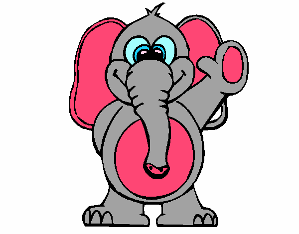 Elefante 2