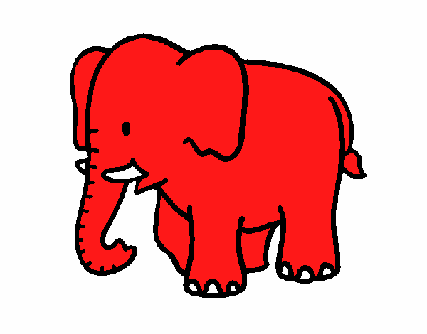 Elefante bebe