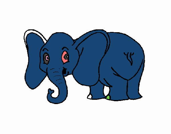 Elefante pequeño