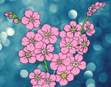 Dibujo Flor de cerezo pintado por Amy2015