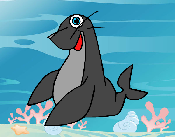 Foca monje