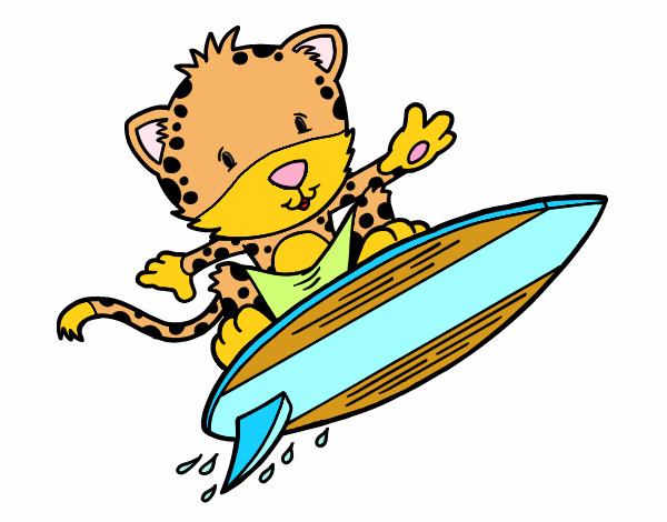 Guepardo surfista :)