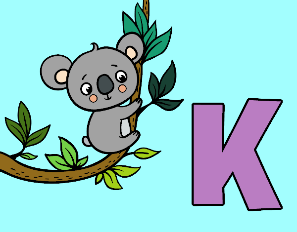 K de Koala