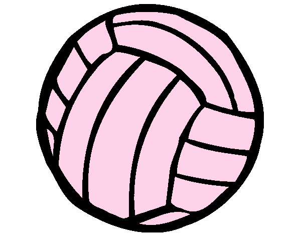 Pelota de voleibol