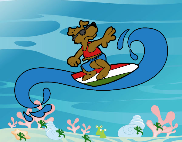 Perro surfeando