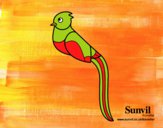 Dibujo Quetzal pintado por helio