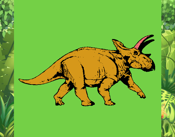 Triceratops 1