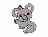 Un Koala