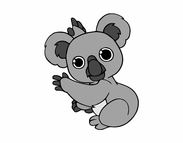 Un Koala