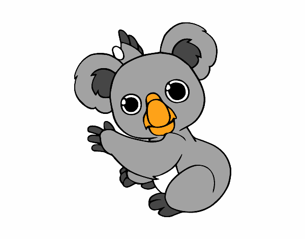 Un Koala