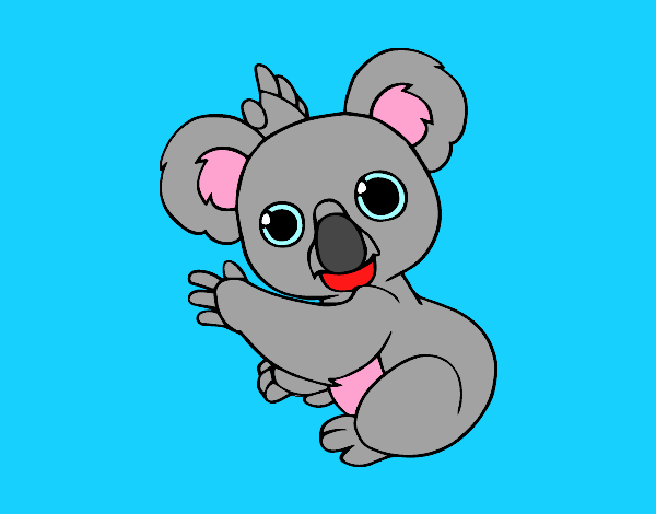 Un Koala